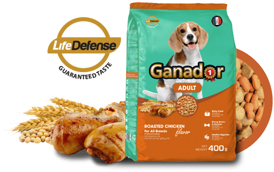 Garnador Adult Roasted Chicken Flavor Ganador